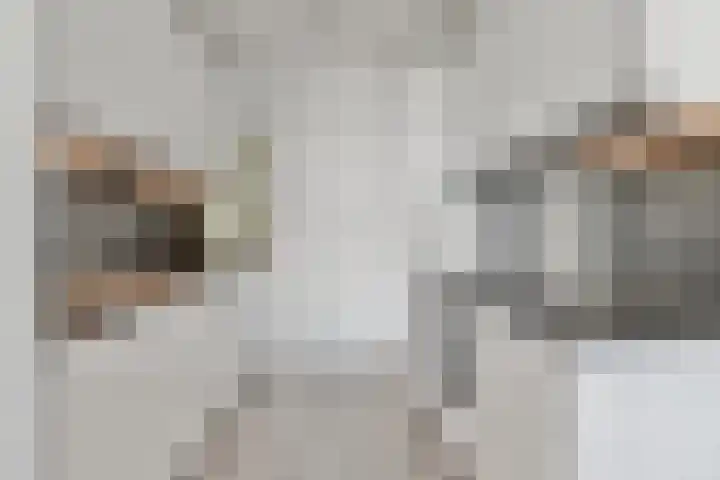 Tobias Asserlaan 177 Diemen thumbnail 10