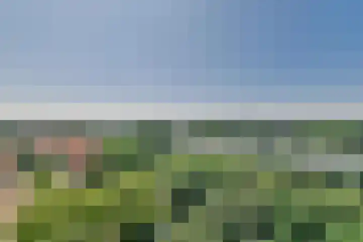 Tobias Asserlaan 177 Diemen thumbnail 15