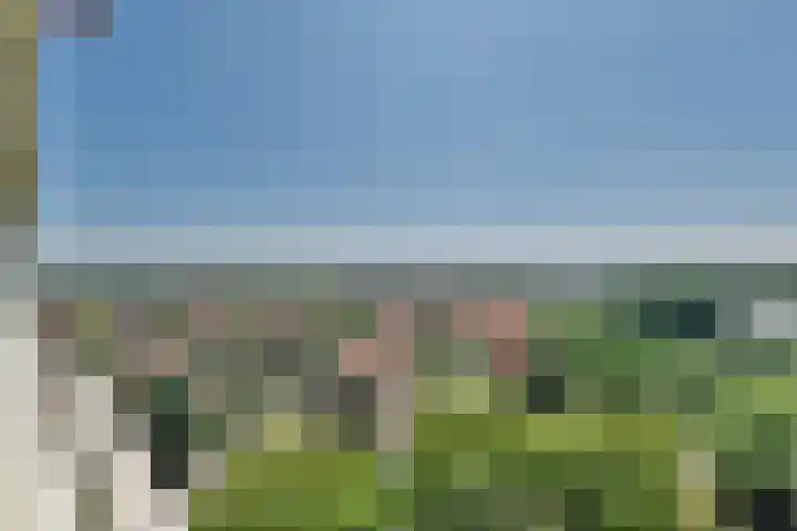 Tobias Asserlaan 177 Diemen thumbnail 17