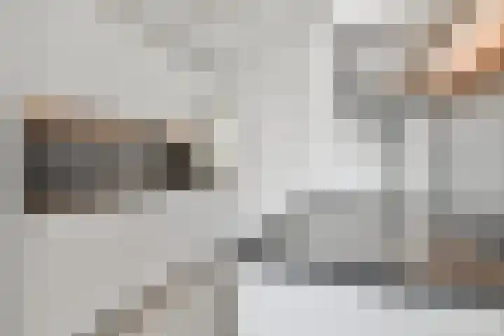 Tobias Asserlaan 177 Diemen thumbnail 9