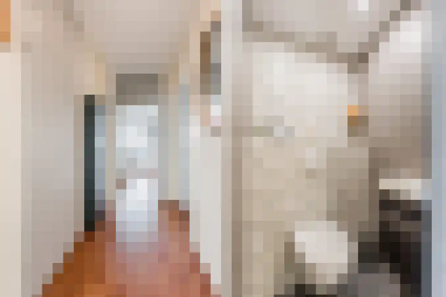 Tobias Asserlaan 194 Diemen thumbnail 23