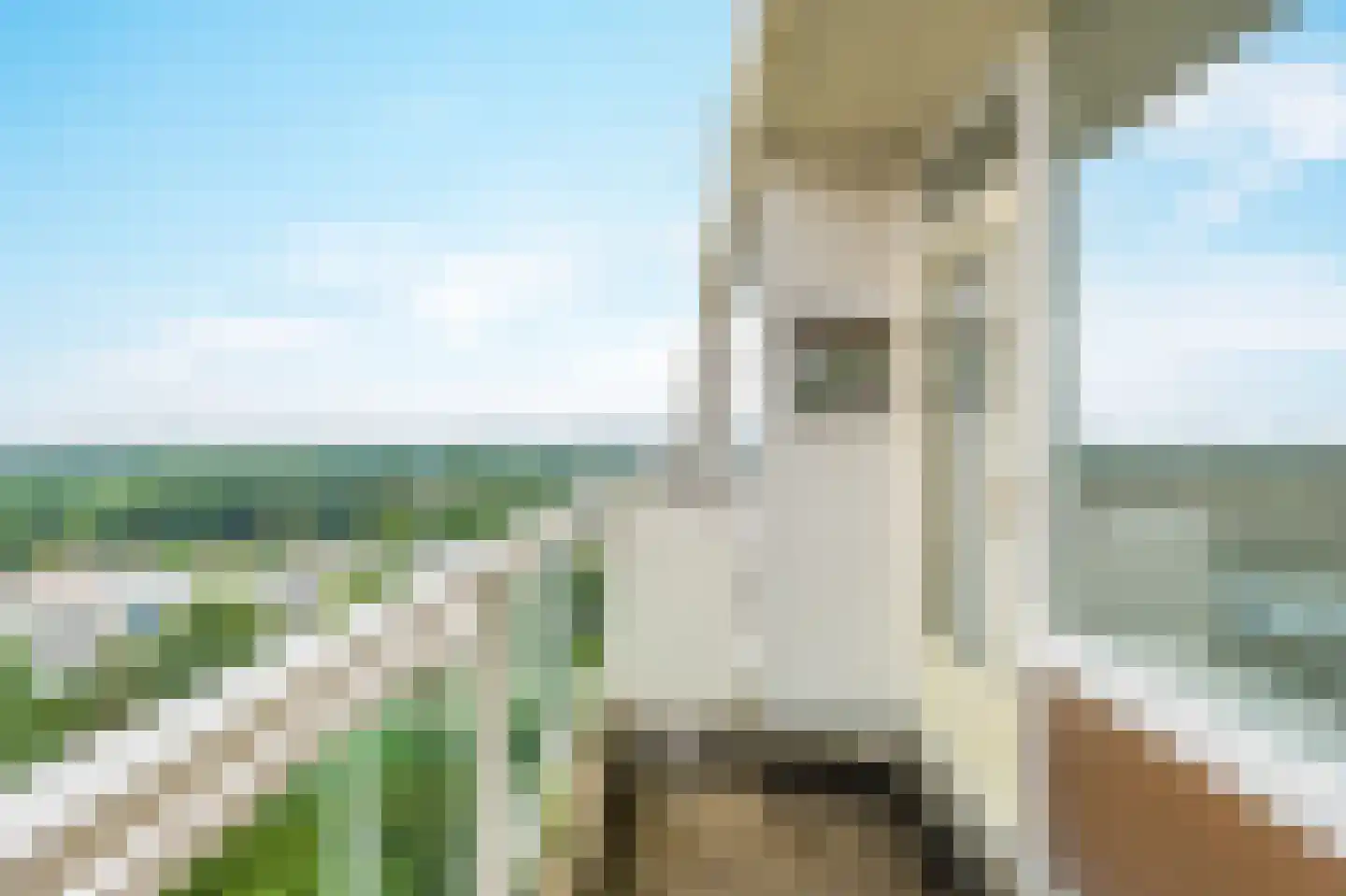 Tobias Asserlaan 194 Diemen thumbnail 28