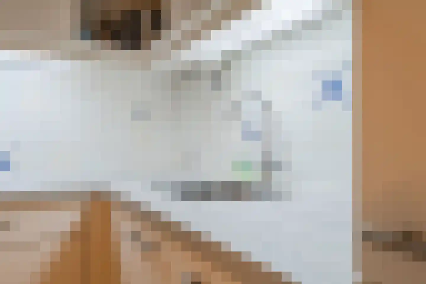 Tobias Asserlaan 228 Diemen thumbnail 18