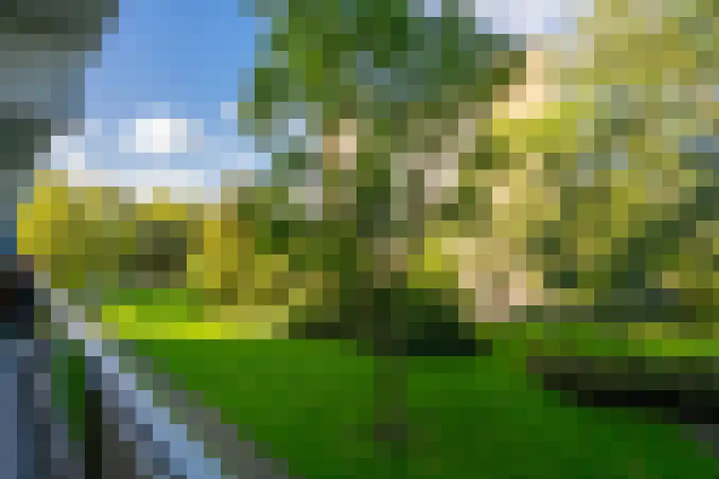 Tobias Asserlaan 228 Diemen thumbnail 25