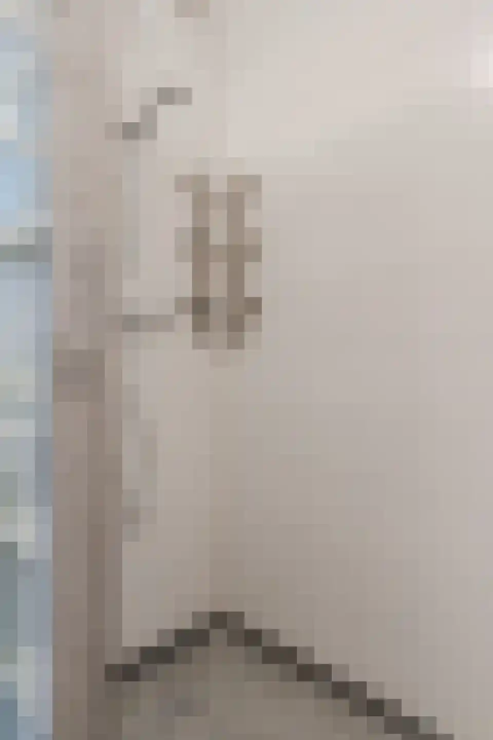 Tobias Asserlaan 228 Diemen thumbnail 33