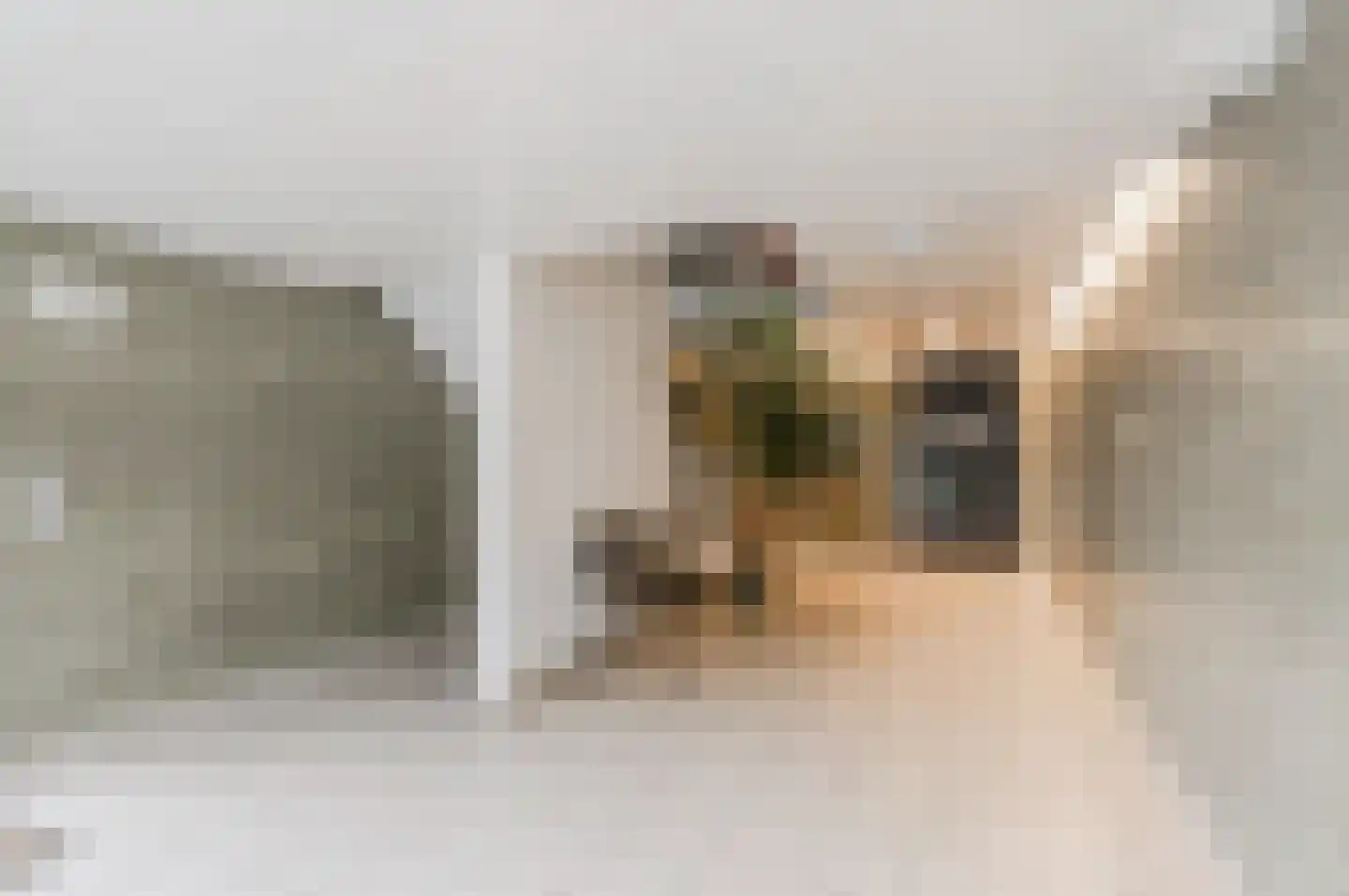 Tobias Asserlaan 228 Diemen thumbnail 36