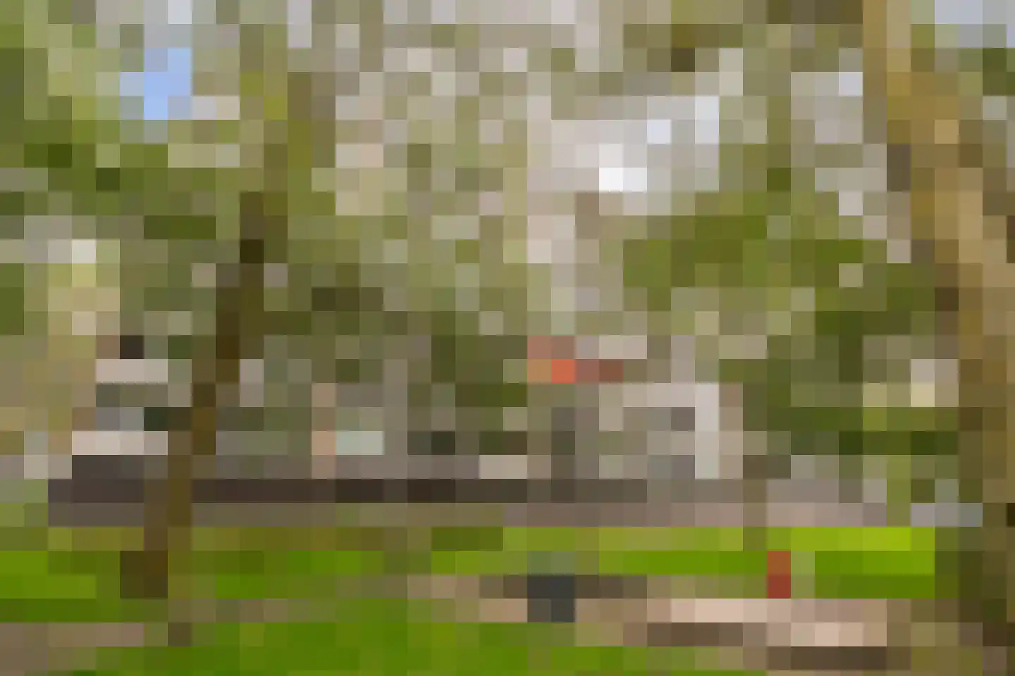 Tobias Asserlaan 228 Diemen thumbnail 40
