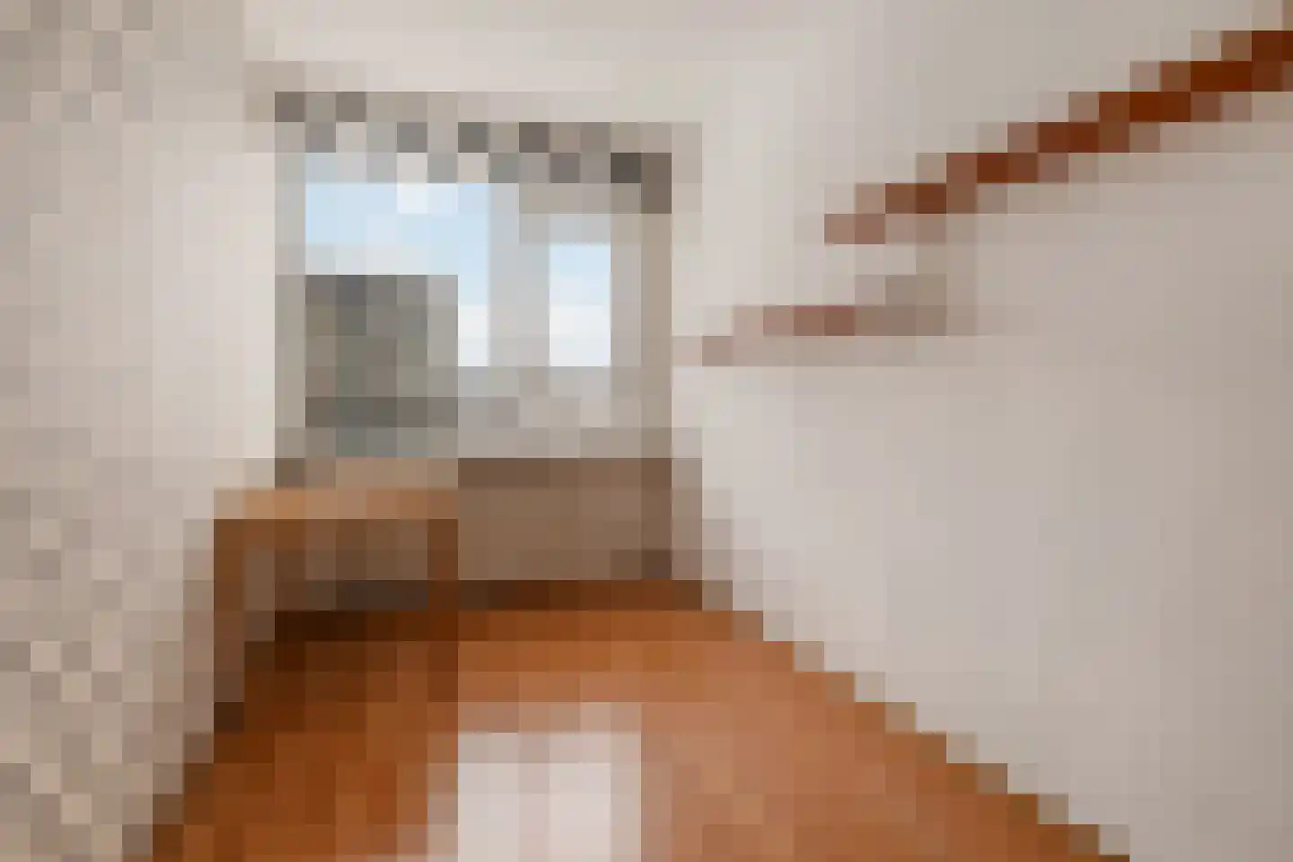 Tobias Asserlaan 236 Diemen thumbnail 24