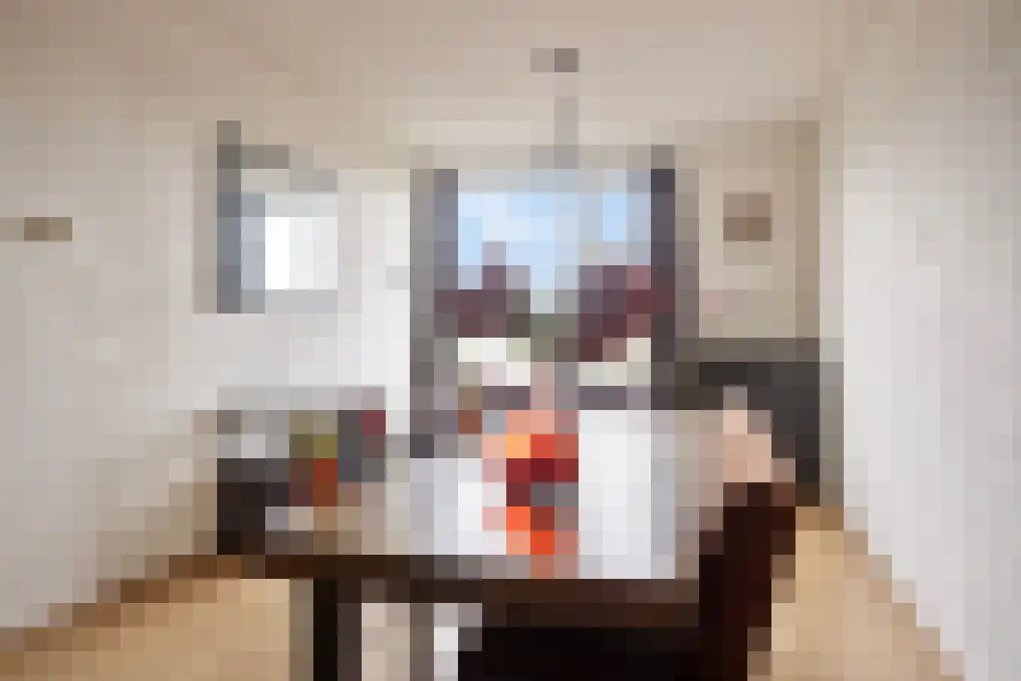 Tobias Asserlaan 236 Tilburg thumbnail 19