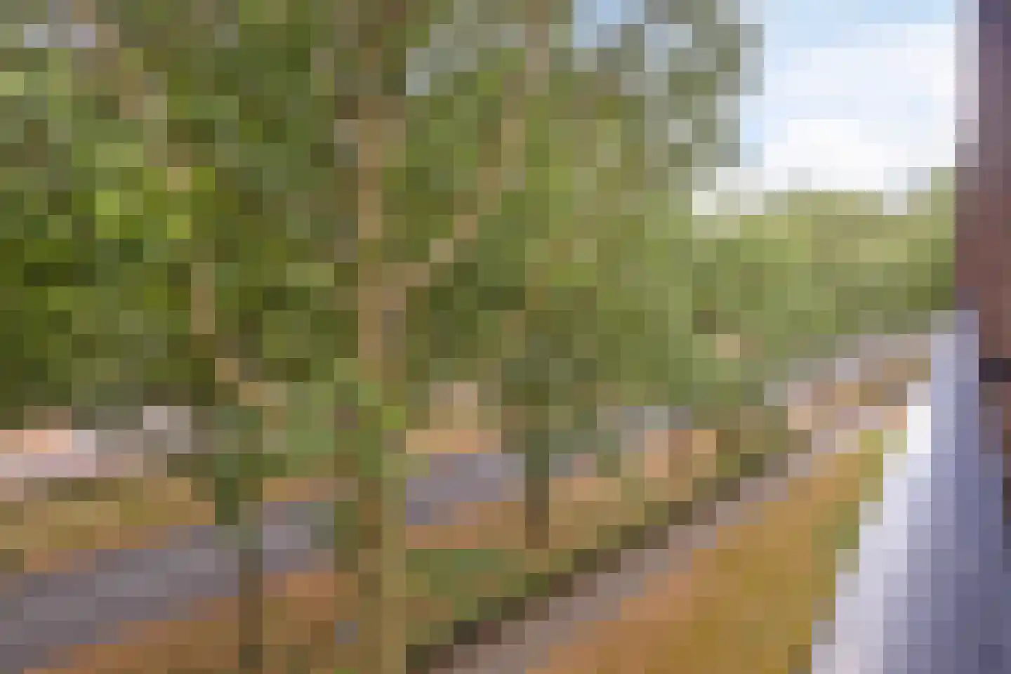 Tobias Asserlaan 236 Tilburg thumbnail 22