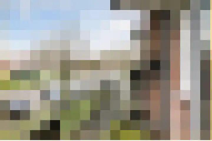 Tobias Asserlaan 242 Tilburg thumbnail 11