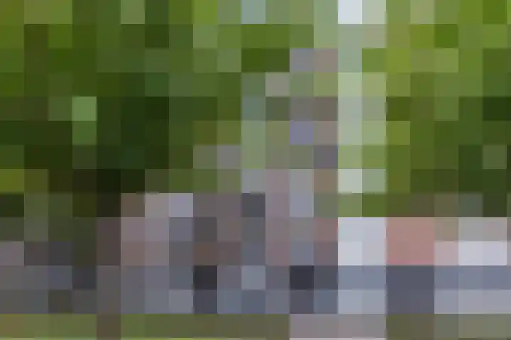 Tobias Asserlaan 242 Tilburg thumbnail 22