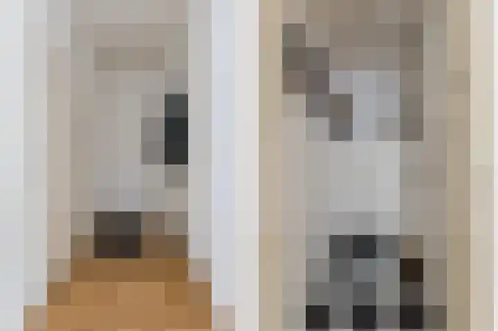 Tobias Asserlaan 242 Tilburg thumbnail 28