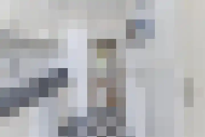 Tobias Asserlaan 242 Tilburg thumbnail 33