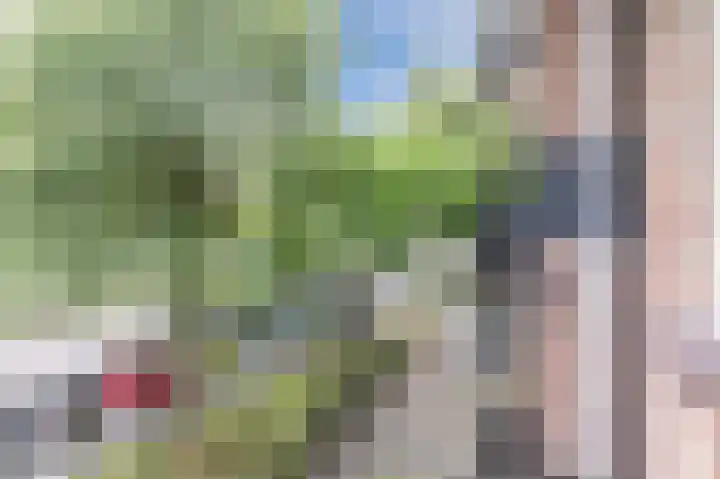 Tobias Asserlaan 242 Tilburg thumbnail 43