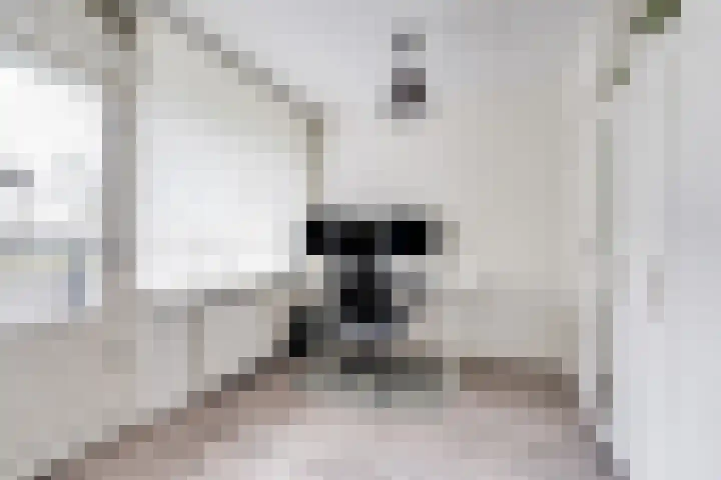 Tobias Asserlaan 256 Diemen thumbnail 13
