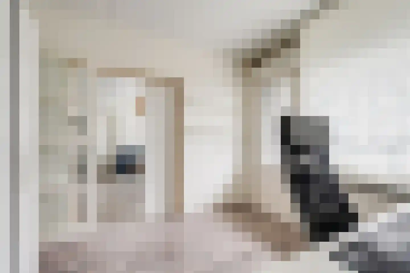 Tobias Asserlaan 256 Diemen thumbnail 15