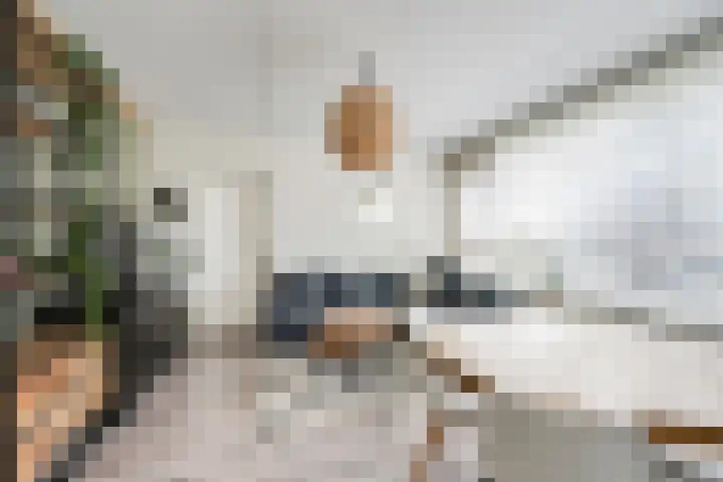 Tobias Asserlaan 256 Diemen thumbnail 19
