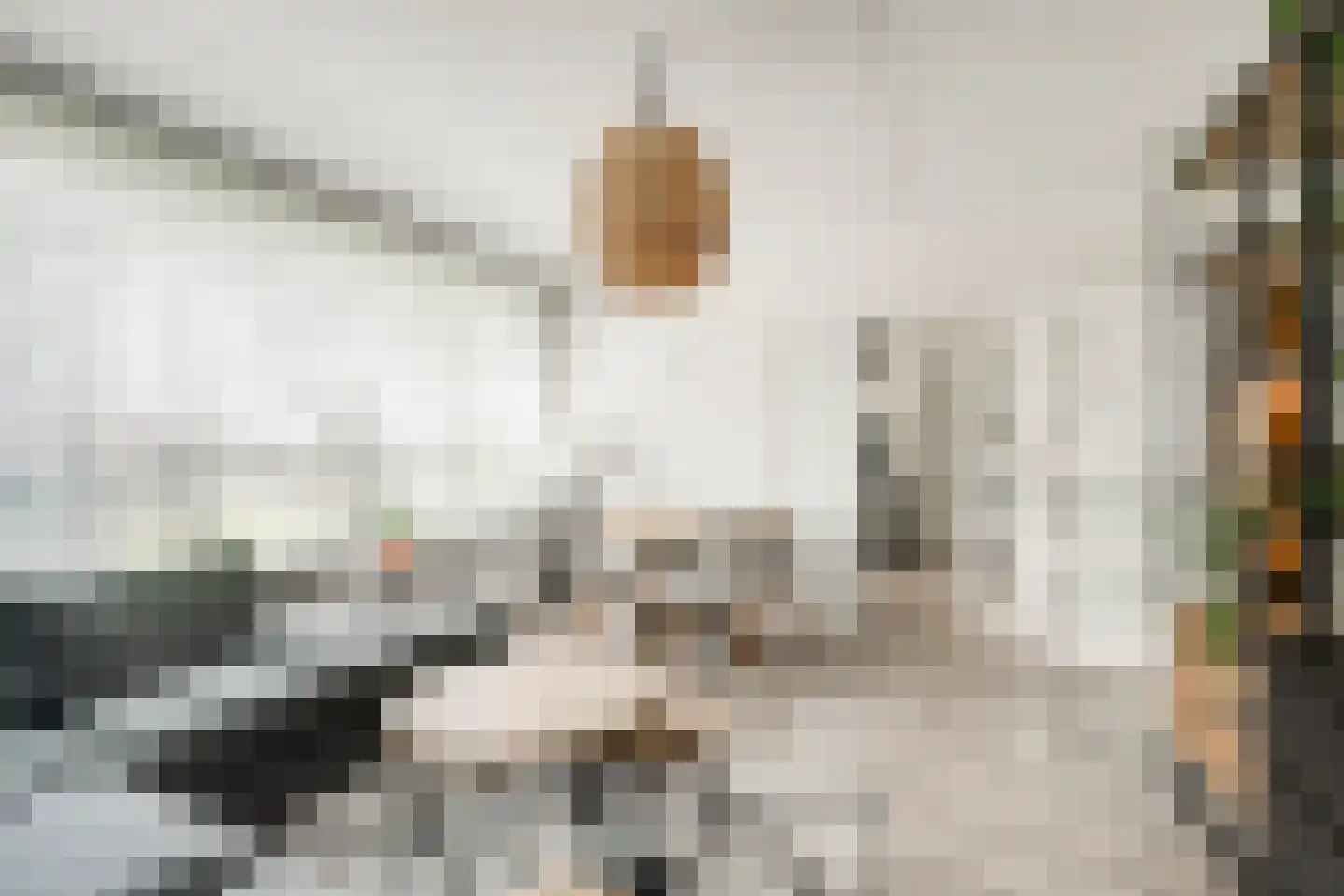 Tobias Asserlaan 256 Diemen thumbnail 20
