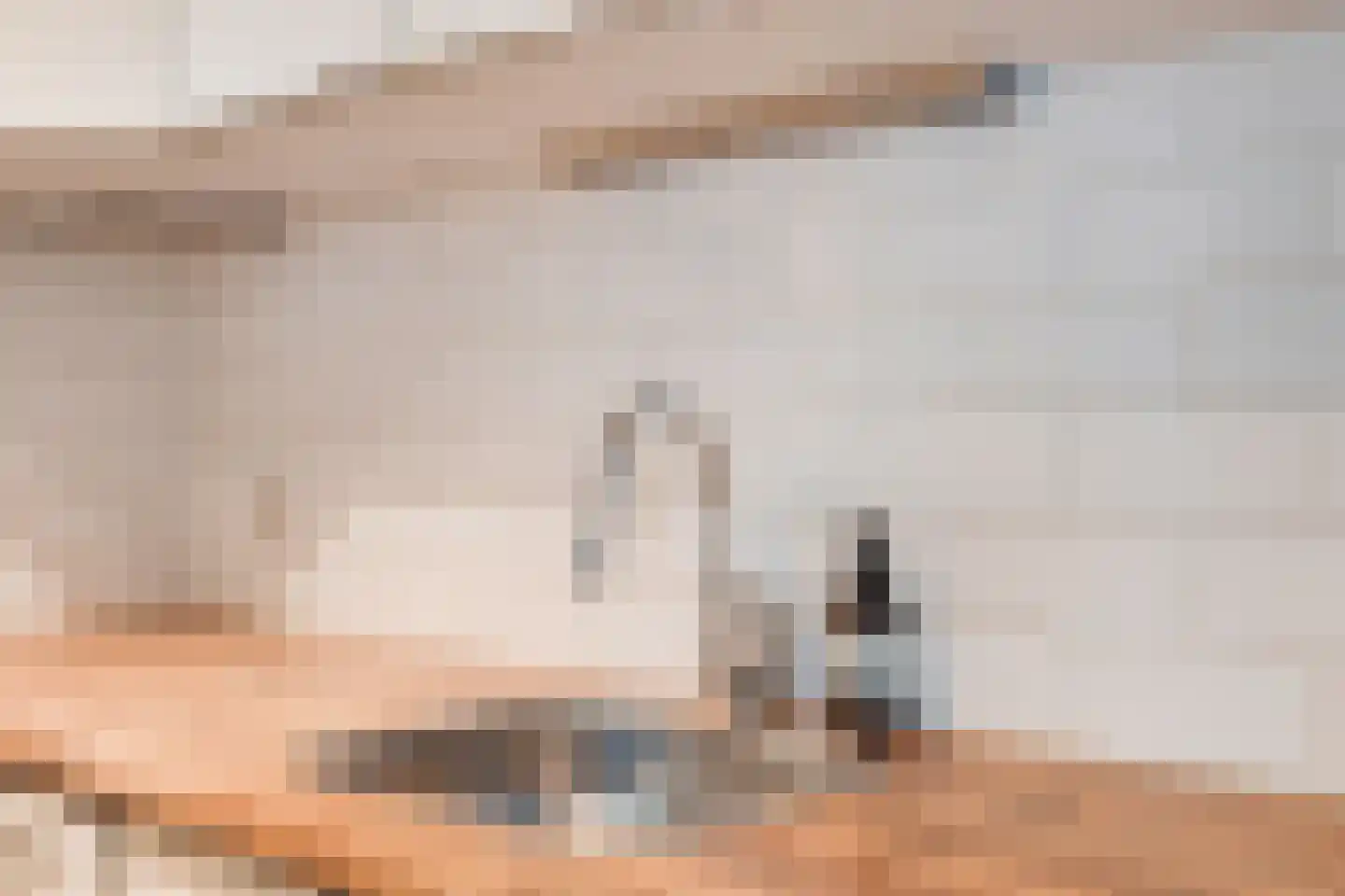 Tobias Asserlaan 256 Diemen thumbnail 26