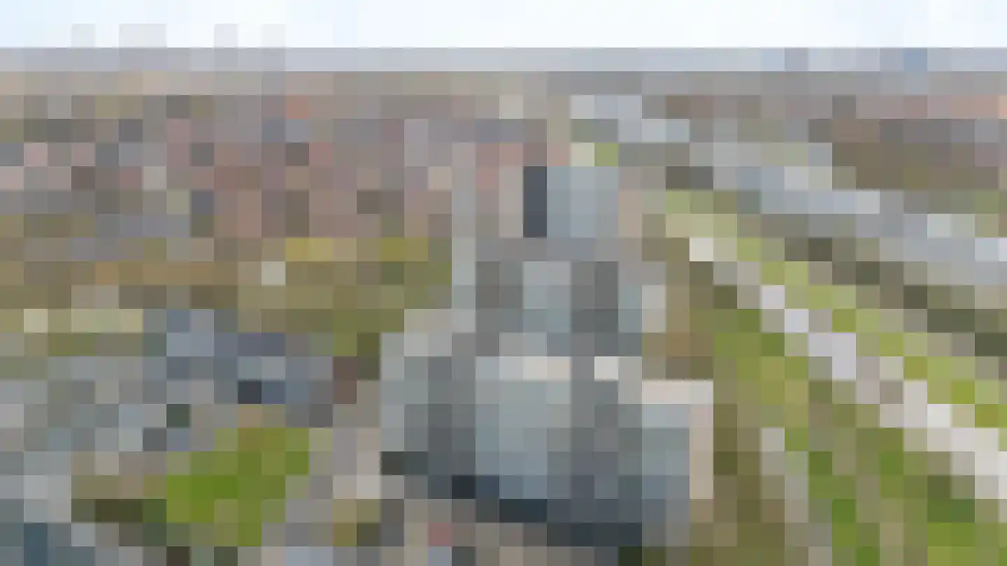 Tobias Asserlaan 256 Diemen thumbnail 41