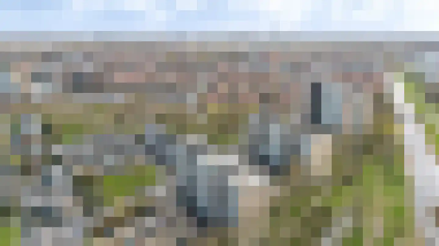 Tobias Asserlaan 256 Diemen thumbnail 6