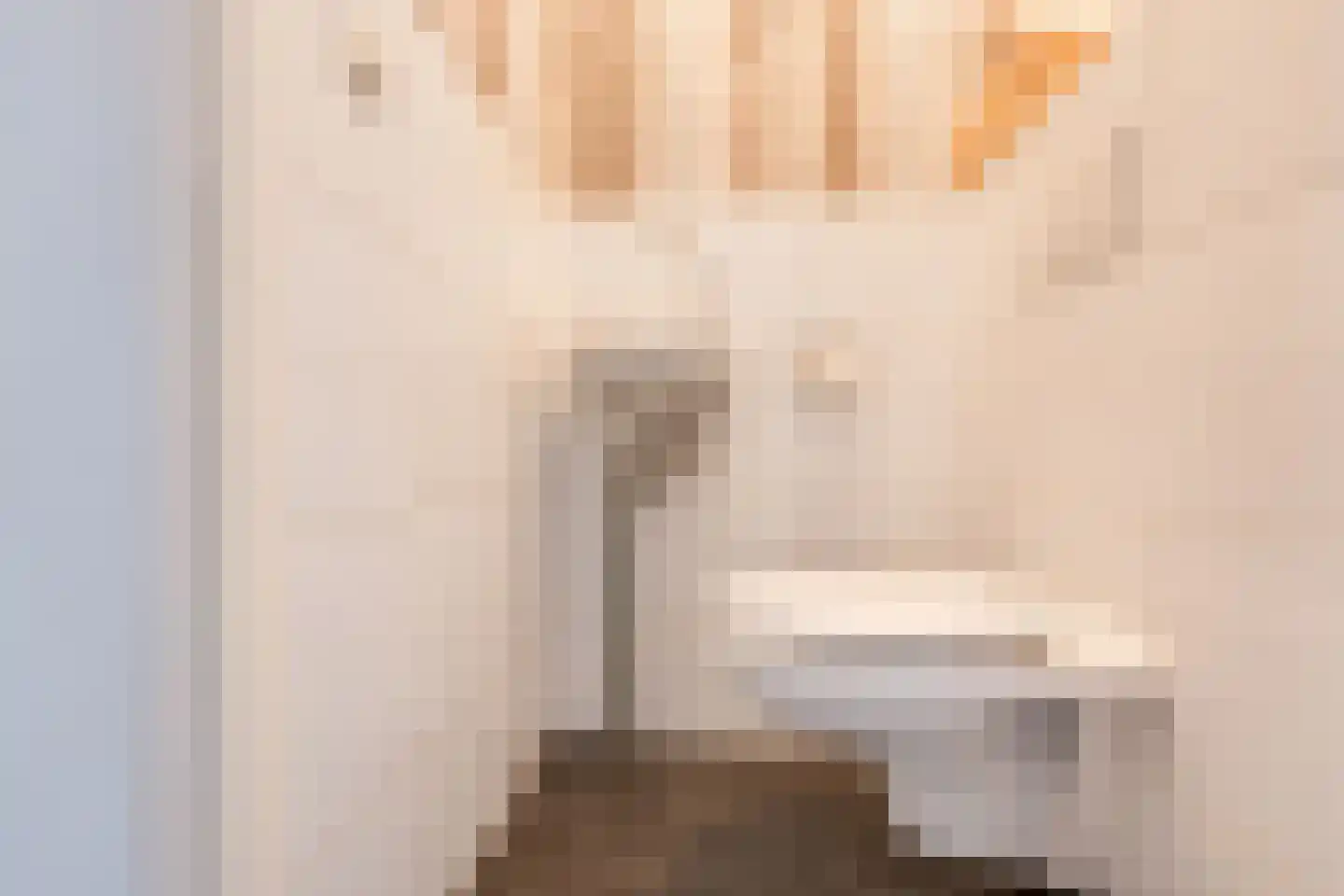 Tobias Asserlaan 256 Diemen thumbnail 8