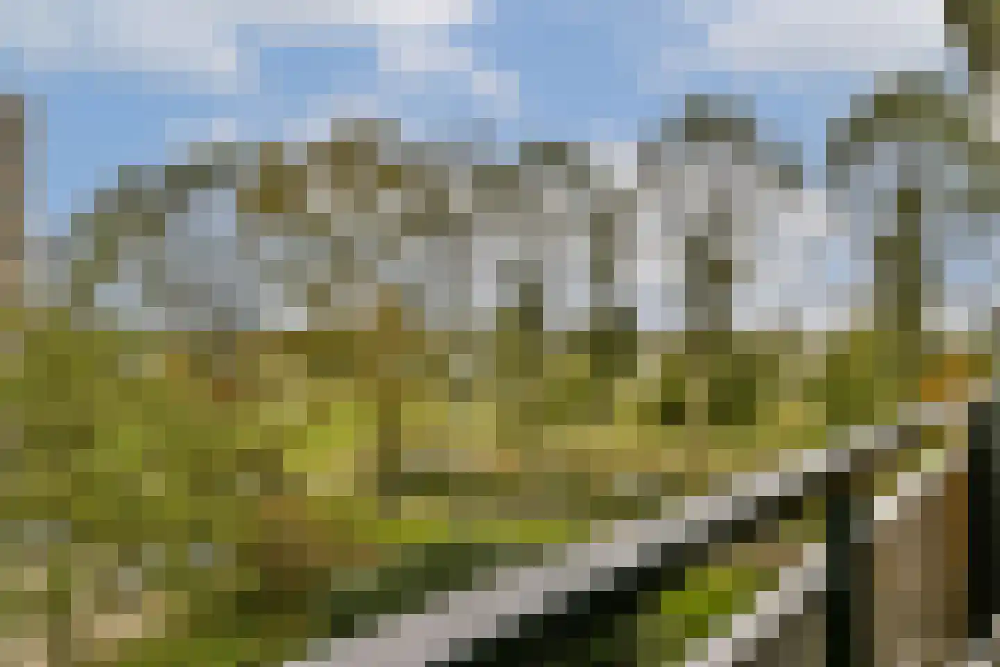 Tobias Asserlaan 257 Diemen thumbnail 28