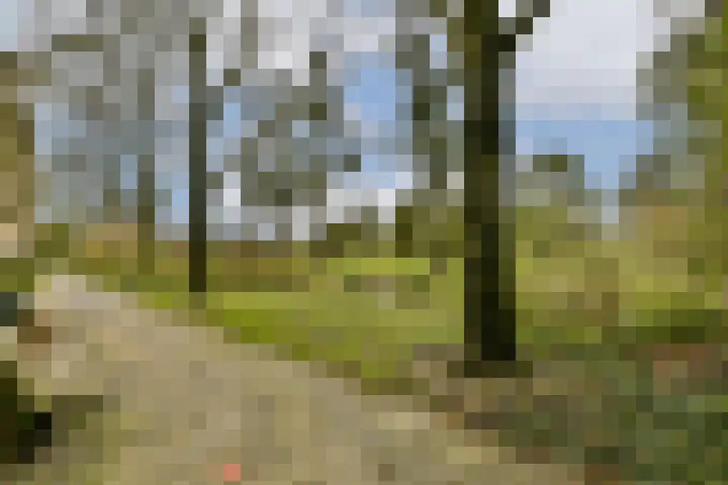 Tobias Asserlaan 257 Diemen thumbnail 30
