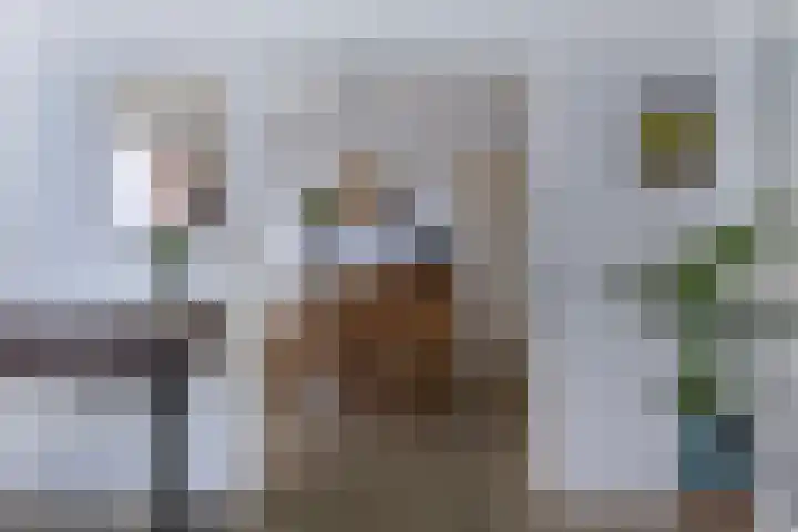 Tobias Asserlaan 265 Diemen thumbnail 14