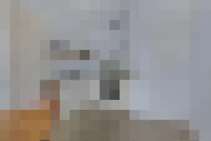 Tobias Asserlaan 265 Diemen thumbnail 15