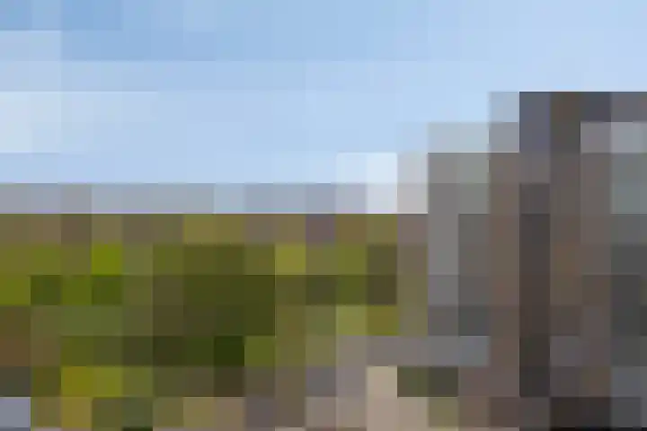 Tobias Asserlaan 265 Diemen thumbnail 29