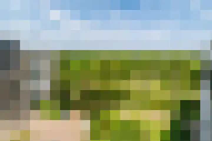Tobias Asserlaan 271 Diemen thumbnail 18
