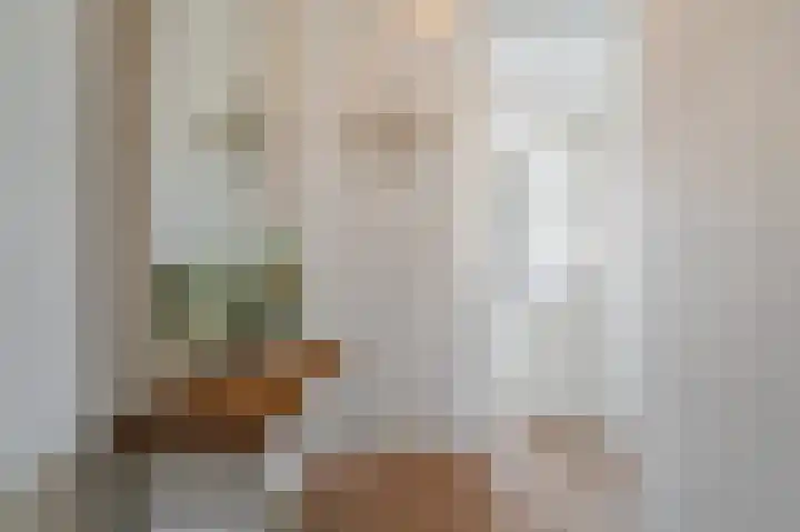 Tobias Asserlaan 271 Diemen thumbnail 20