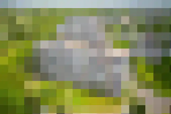 Tobias Asserlaan 271 Diemen thumbnail 29