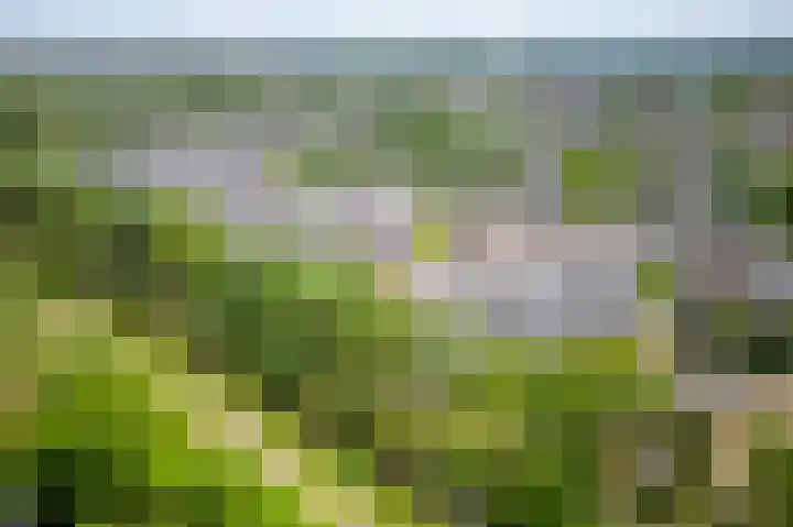 Tobias Asserlaan 271 Diemen thumbnail 33