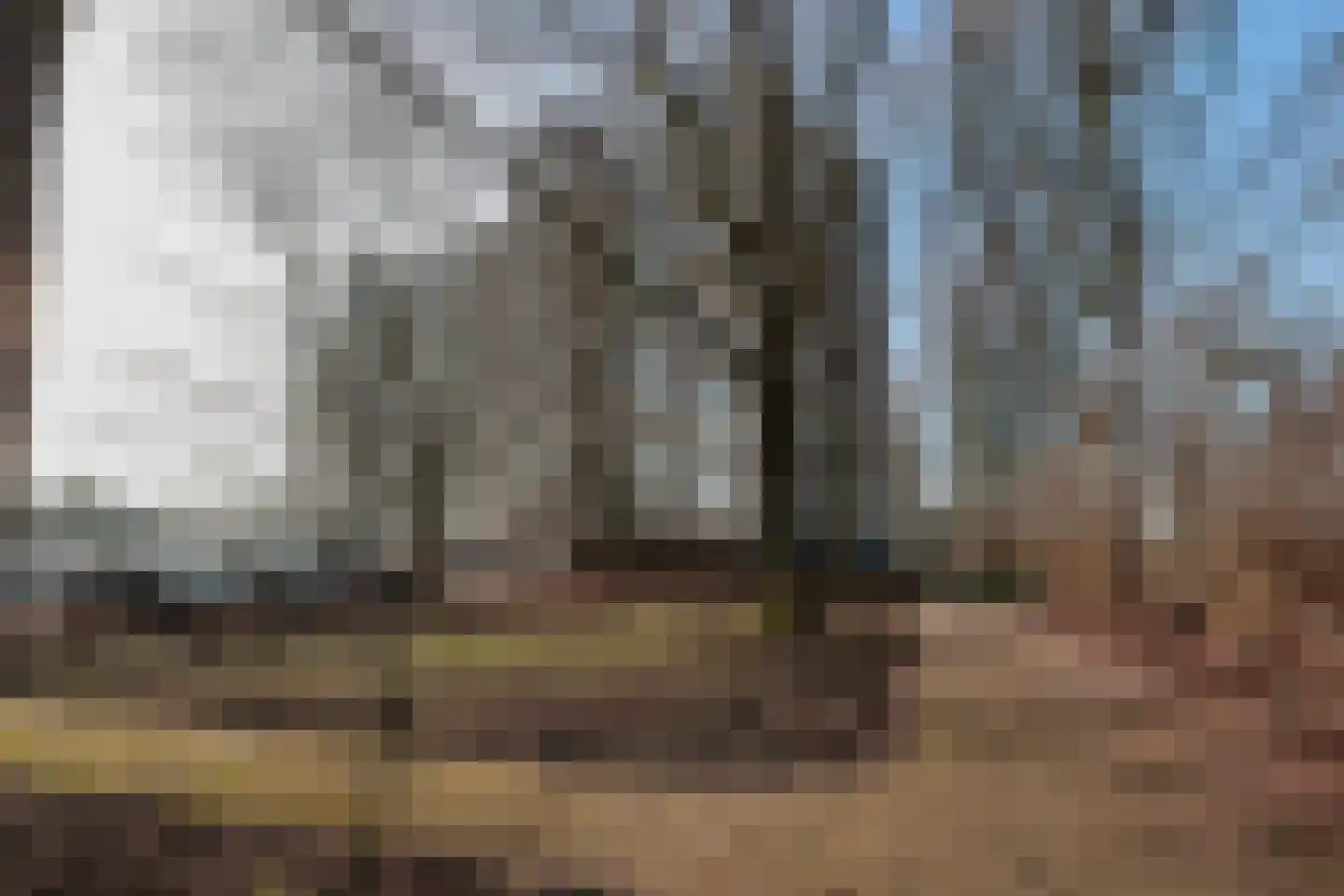 Tobias Asserlaan 275 Diemen thumbnail 35