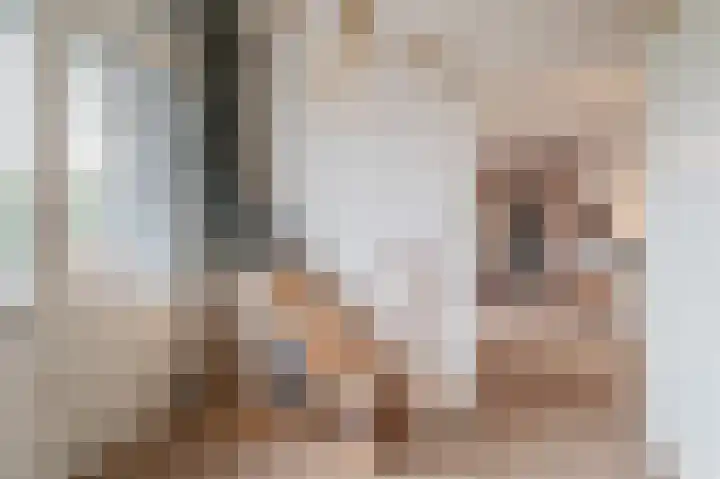 Tobias Asserlaan 289 Diemen thumbnail 22