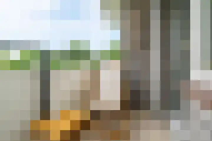 Tobias Asserlaan 289 Diemen thumbnail 25