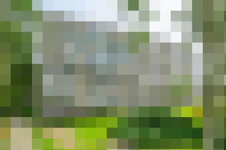Tobias Asserlaan 289 Diemen thumbnail 27