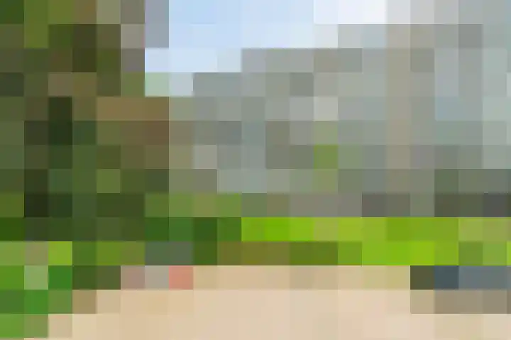 Tobias Asserlaan 289 Diemen thumbnail 28