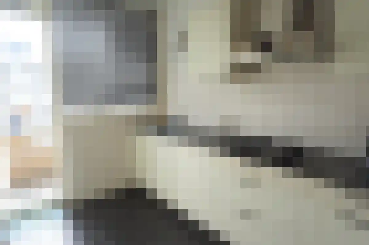 Tobias Asserlaan 293 Diemen thumbnail 5