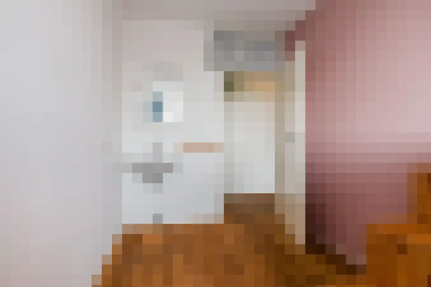 Tobias Asserlaan 294 Diemen thumbnail 21