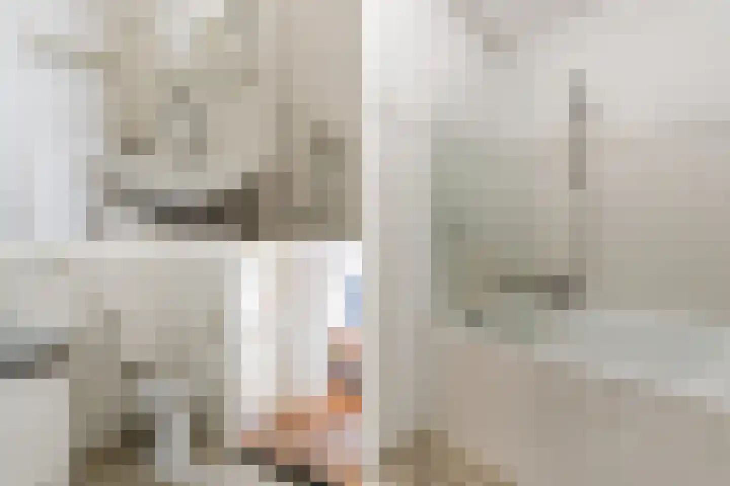 Tobias Asserlaan 294 Diemen thumbnail 31