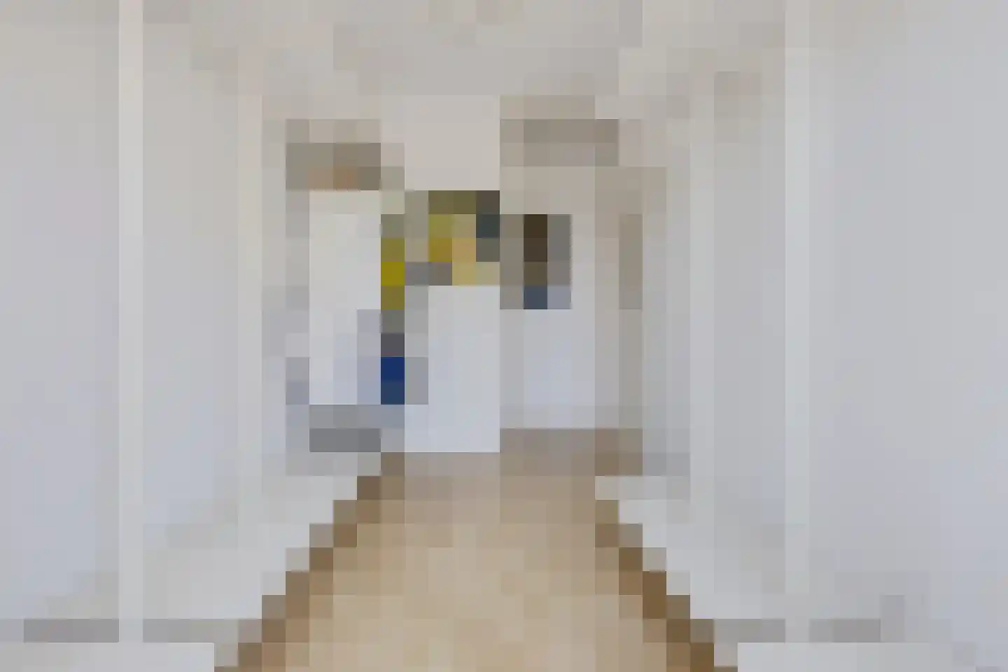 Tobias Asserlaan 306 Diemen thumbnail 29