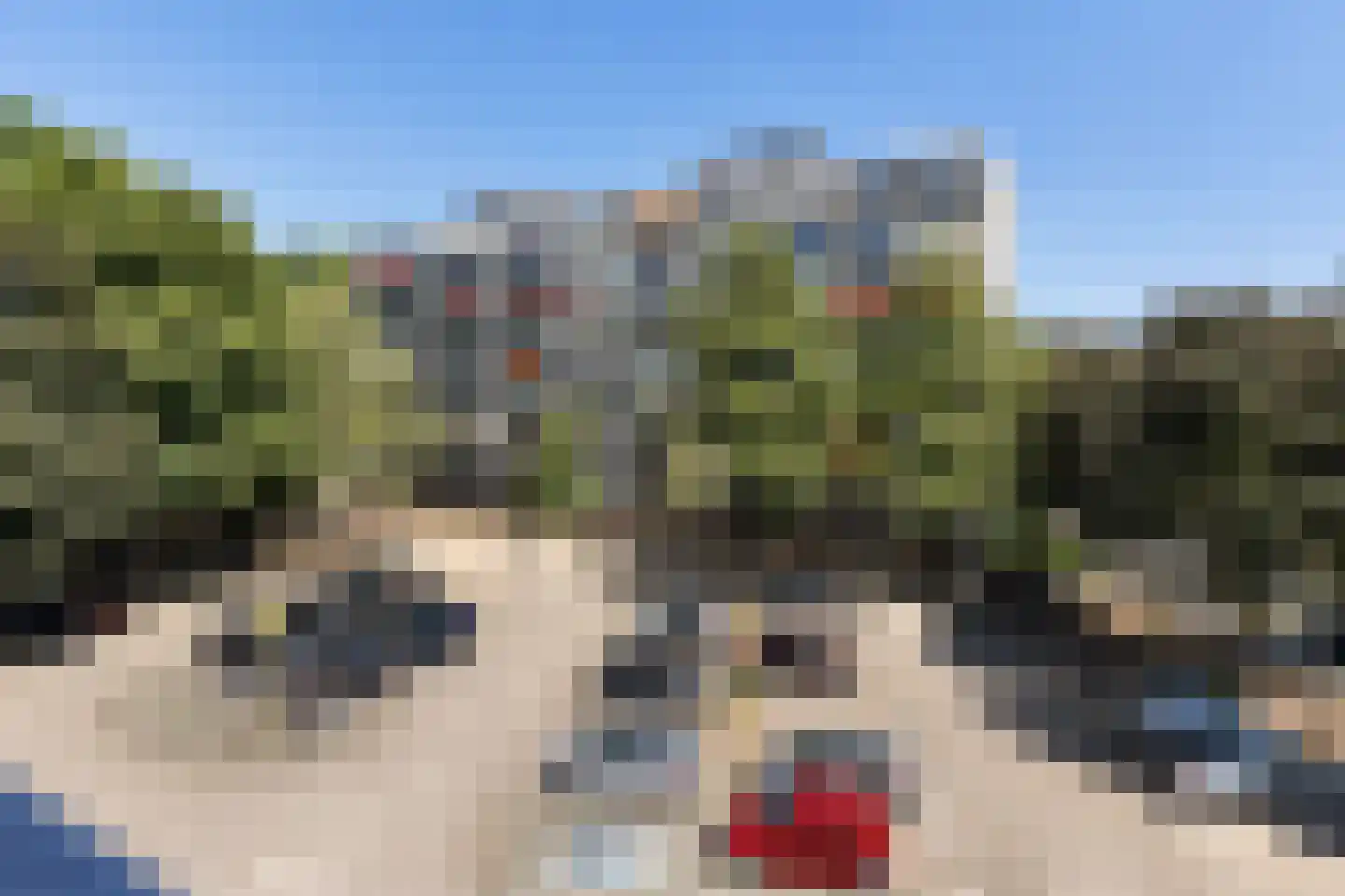 Tobias Asserlaan 306 Diemen thumbnail 34