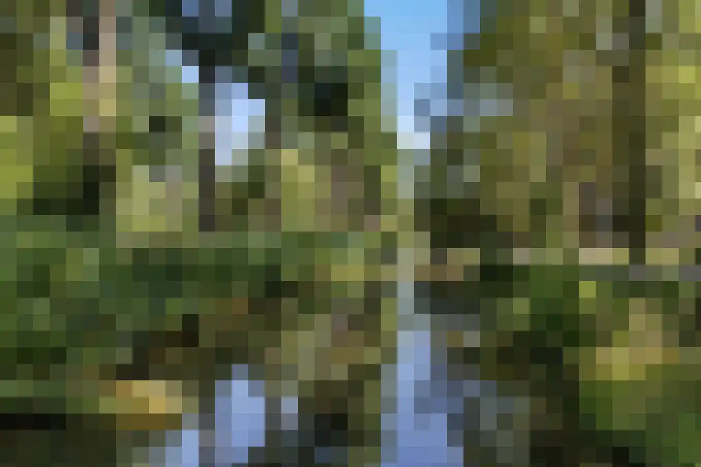 Tobias Asserlaan 306 Diemen thumbnail 37