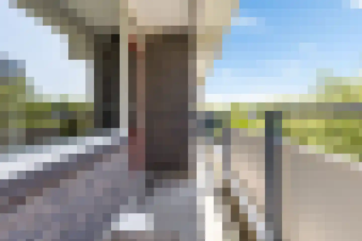 Tobias Asserlaan 306 Diemen thumbnail 4