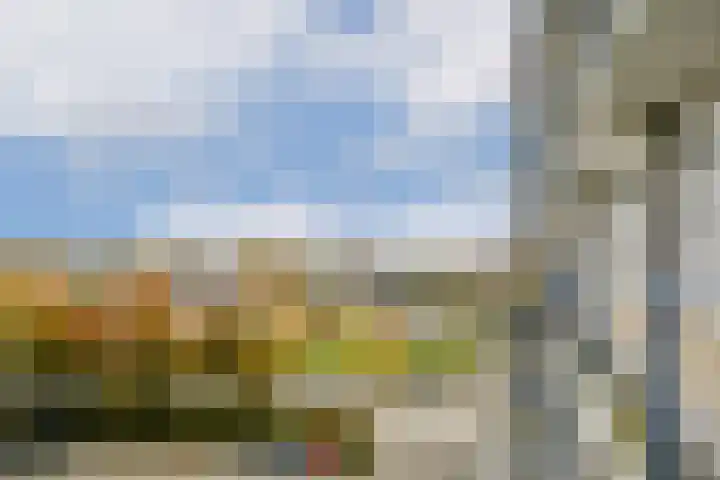 Tobias Asserlaan 334 Diemen thumbnail 21