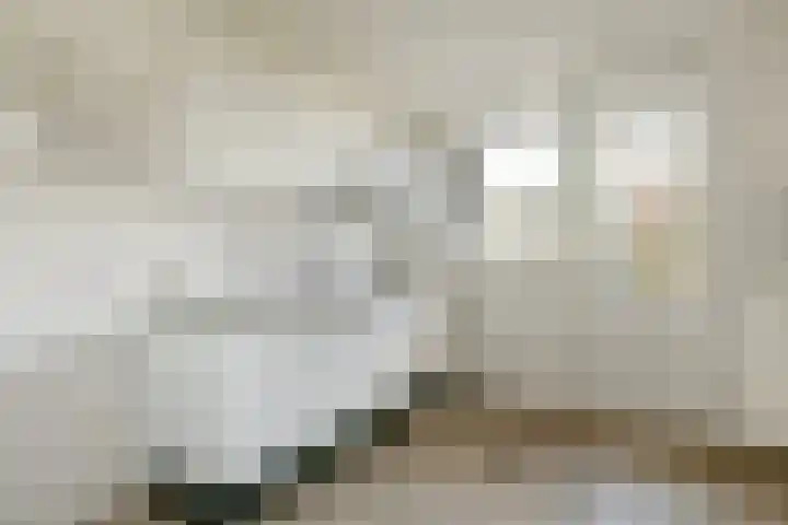 Tobias Asserlaan 334 Diemen thumbnail 22